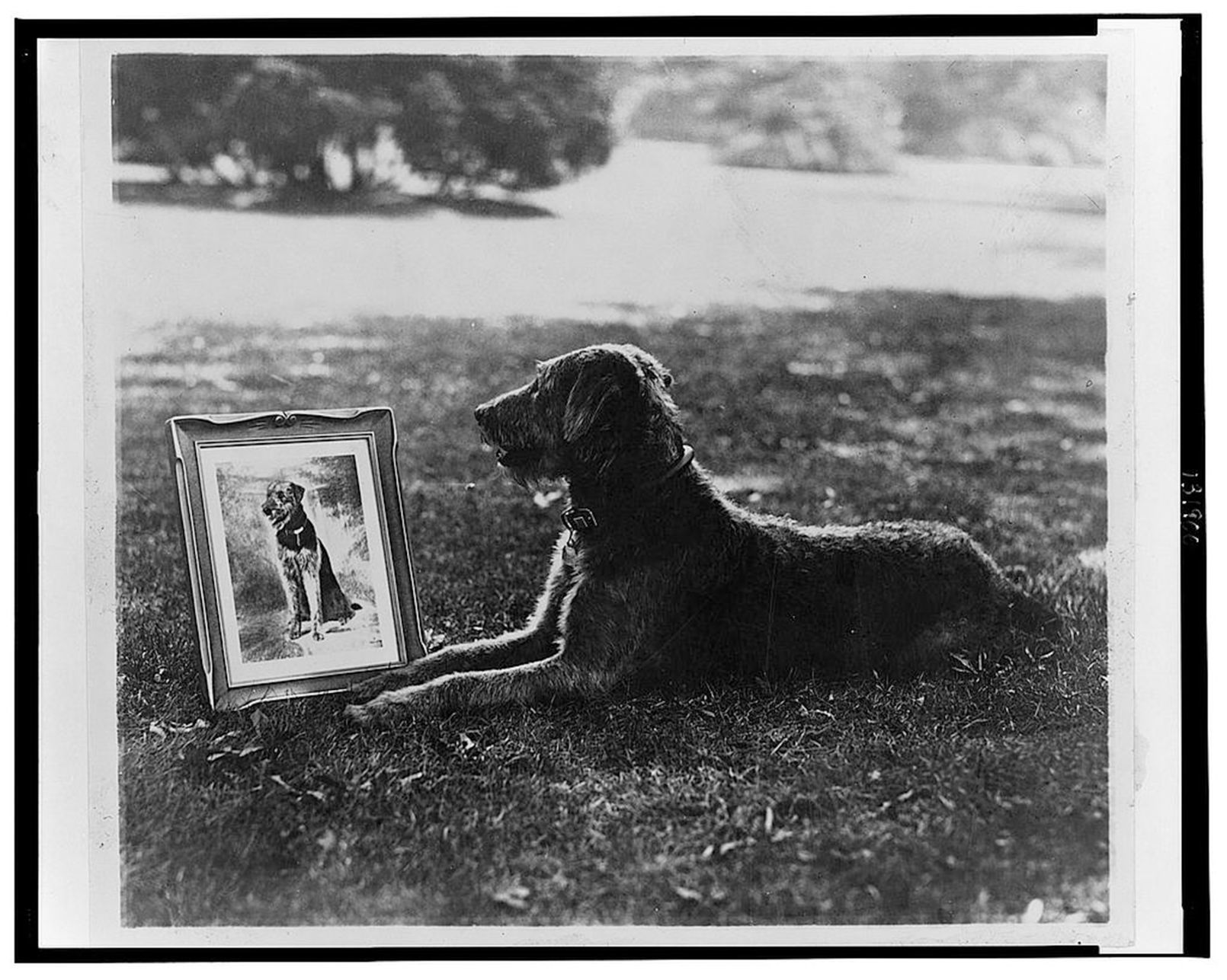 Warren G. Harding